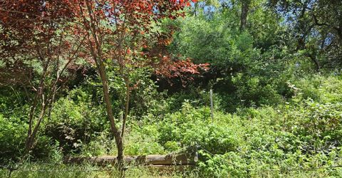2911 Clay St, Placerville, CA 95667 Photo