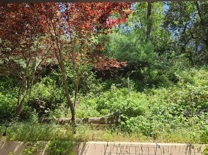 2911 Clay St, Placerville, CA 95667 Photo