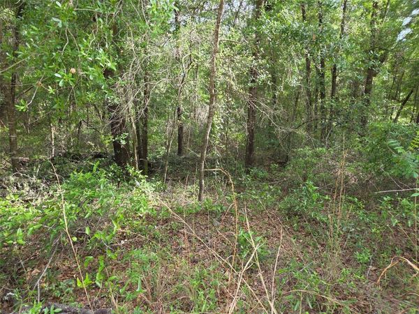 0000 NE 85TH STREET , BRONSON, FL 32621