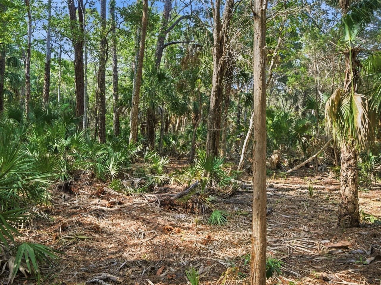 0 Osowaw , Spring Hill, FL 34607 Photo
