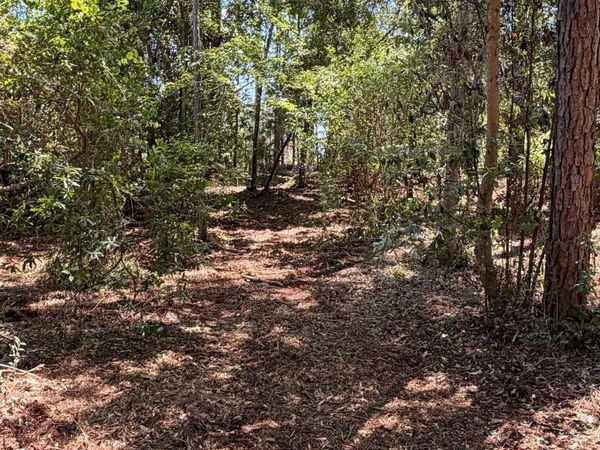 0 Woodland Drive, Elberta, AL 36530