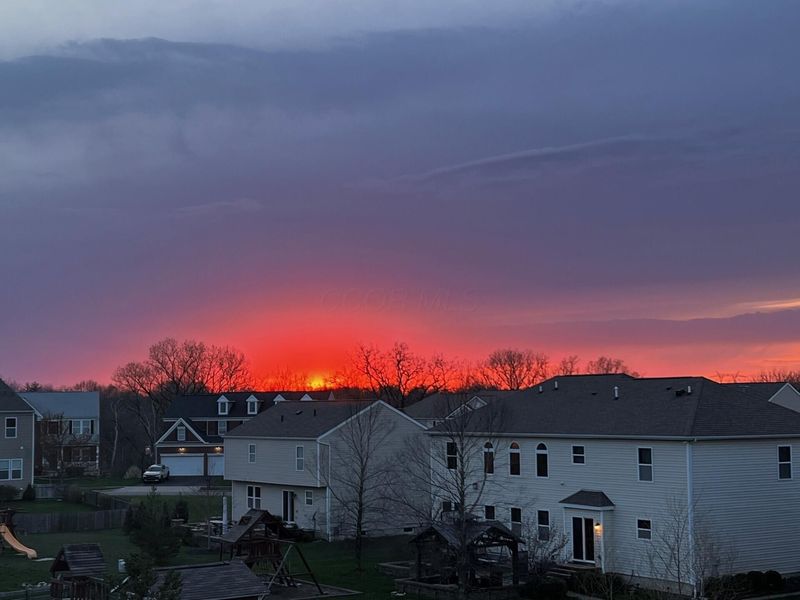 1822 Joe Walker Road, Galena, OH 43021 Photo 77