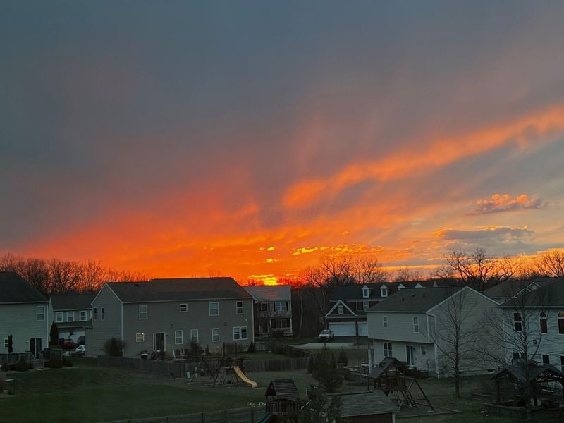 1822 Joe Walker Road, Galena, OH 43021 Photo 78