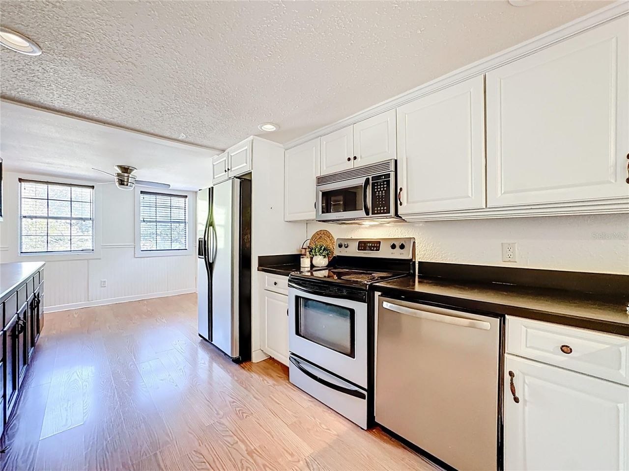 1148 N Grandview Street, Mount Dora, FL 32757 Photo