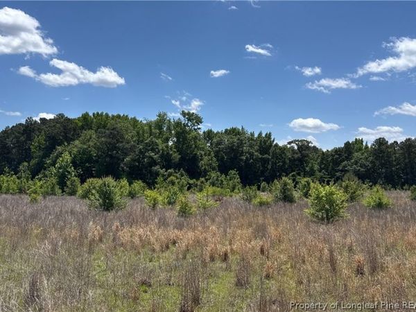 Snipes Road, Red Springs, NC 20747