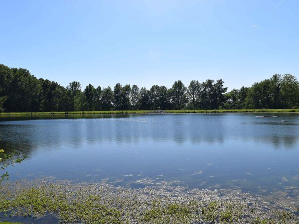 11741 Vienna Road, Wadesville, IN 47638