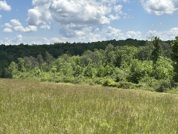 11 Hidden Hills Drive, Graysville, TN 37338