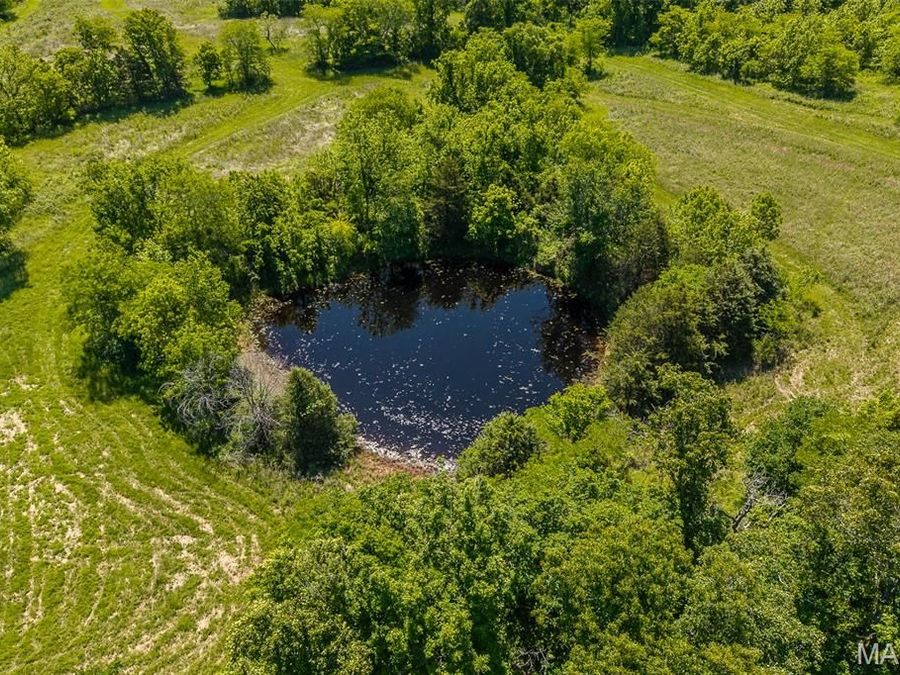 Property Image 78