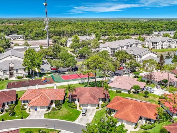 18312 AINTREE COURT , TAMPA, FL 33647