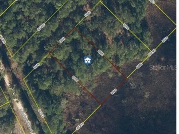 103 BRIERLY STREET, GEORGETOWN, FL 32139
