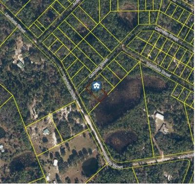 103 Brierly Street, Georgetown, FL 32139 Photo