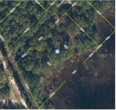 103 Brierly Street, Georgetown, FL 32139 Photo