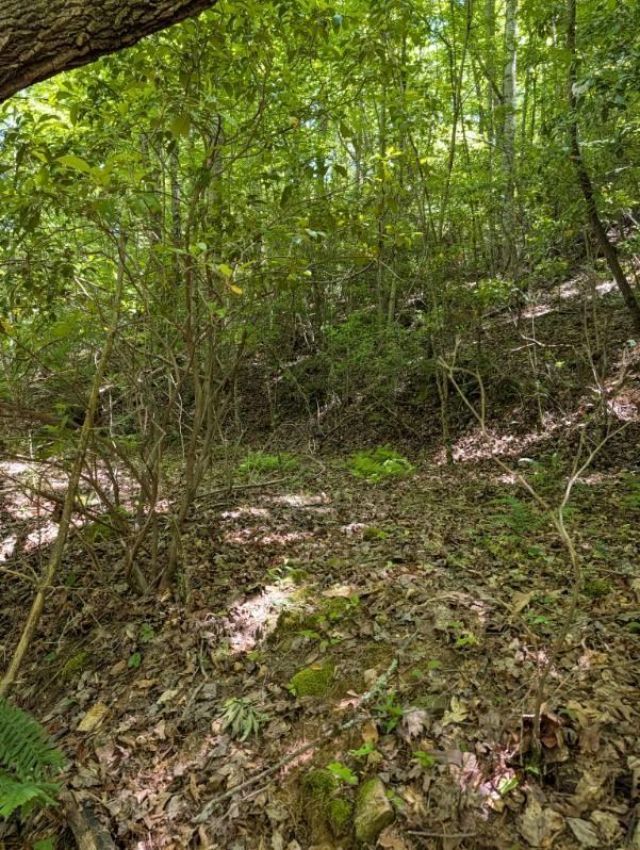 00 Talc Mine Road, Murphy, NC 28906 Main Photo