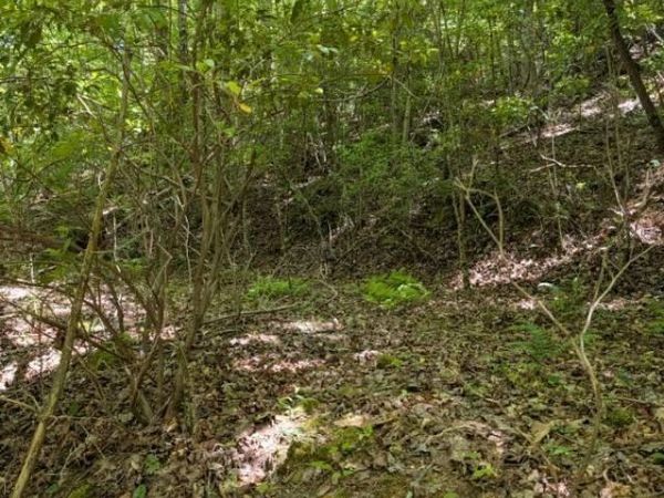 00 Talc Mine Road, Murphy, NC 28906