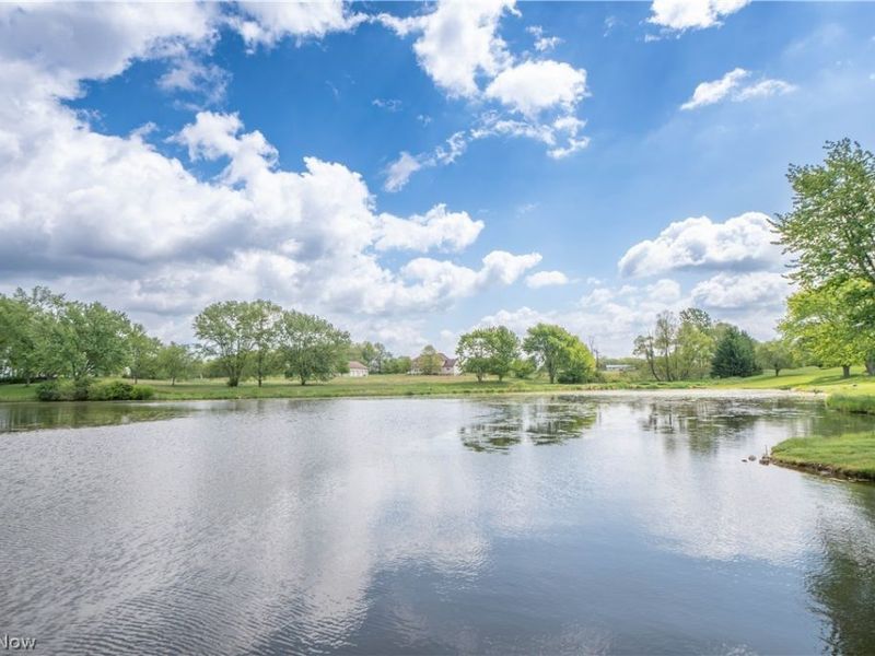 4544 Lakeknoll Street, Louisville, OH 44641 Photo 43