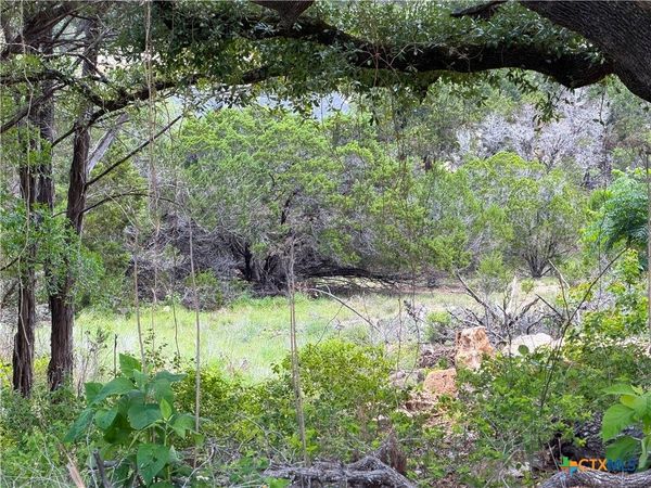 273 Scenic Drive , Canyon Lake, TX 78133