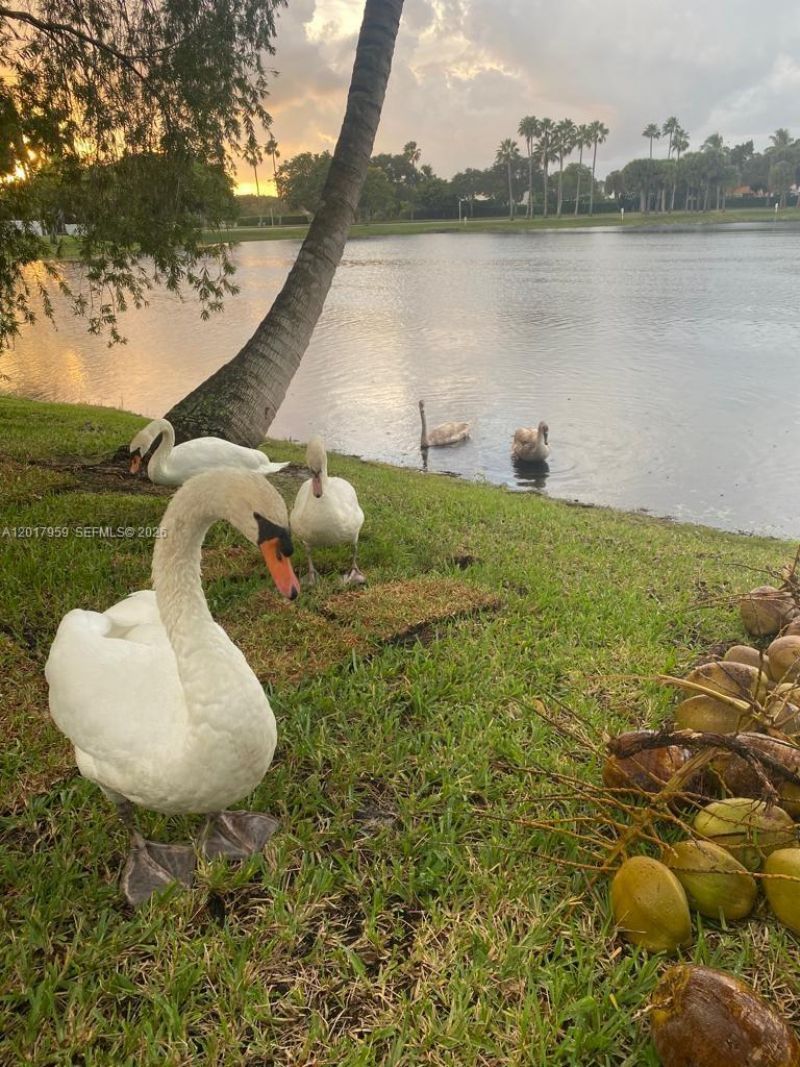 15341 NW 4 St, Pembroke Pines, FL 33028 Photo