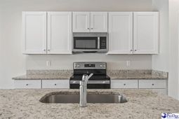 252 Brackish Drive photo 4