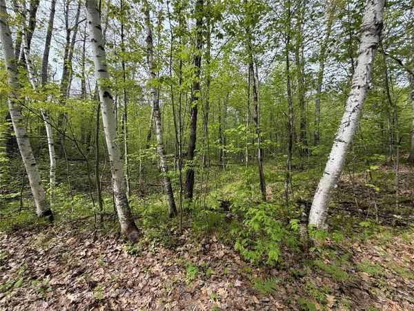 Lot 3 Peterson Road, Wascott, WI 54859