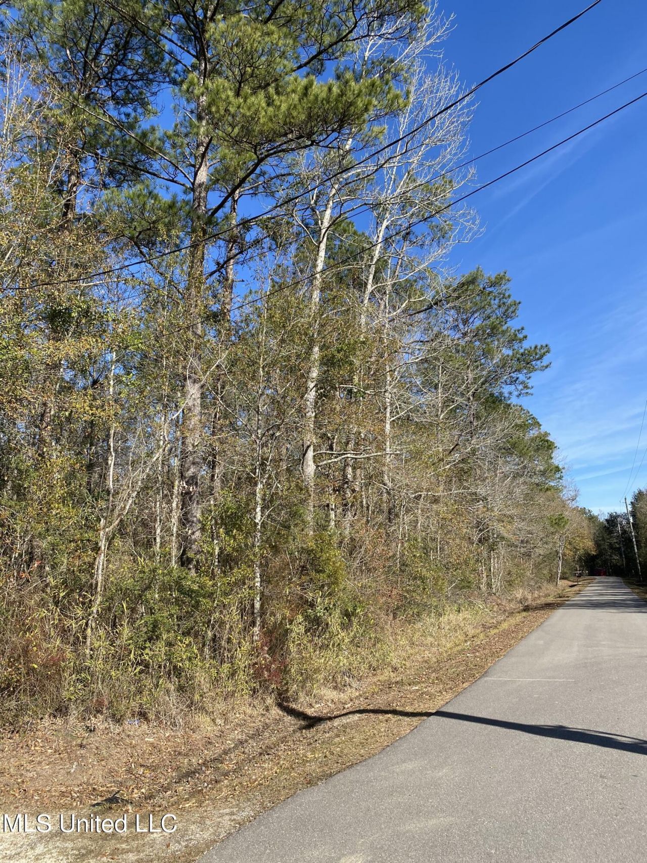 49 Shelton Pearson Road, Picayune, MS 39466 Main Photo