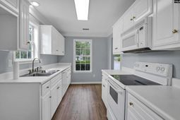116 Bennock Mill Court  photo 4