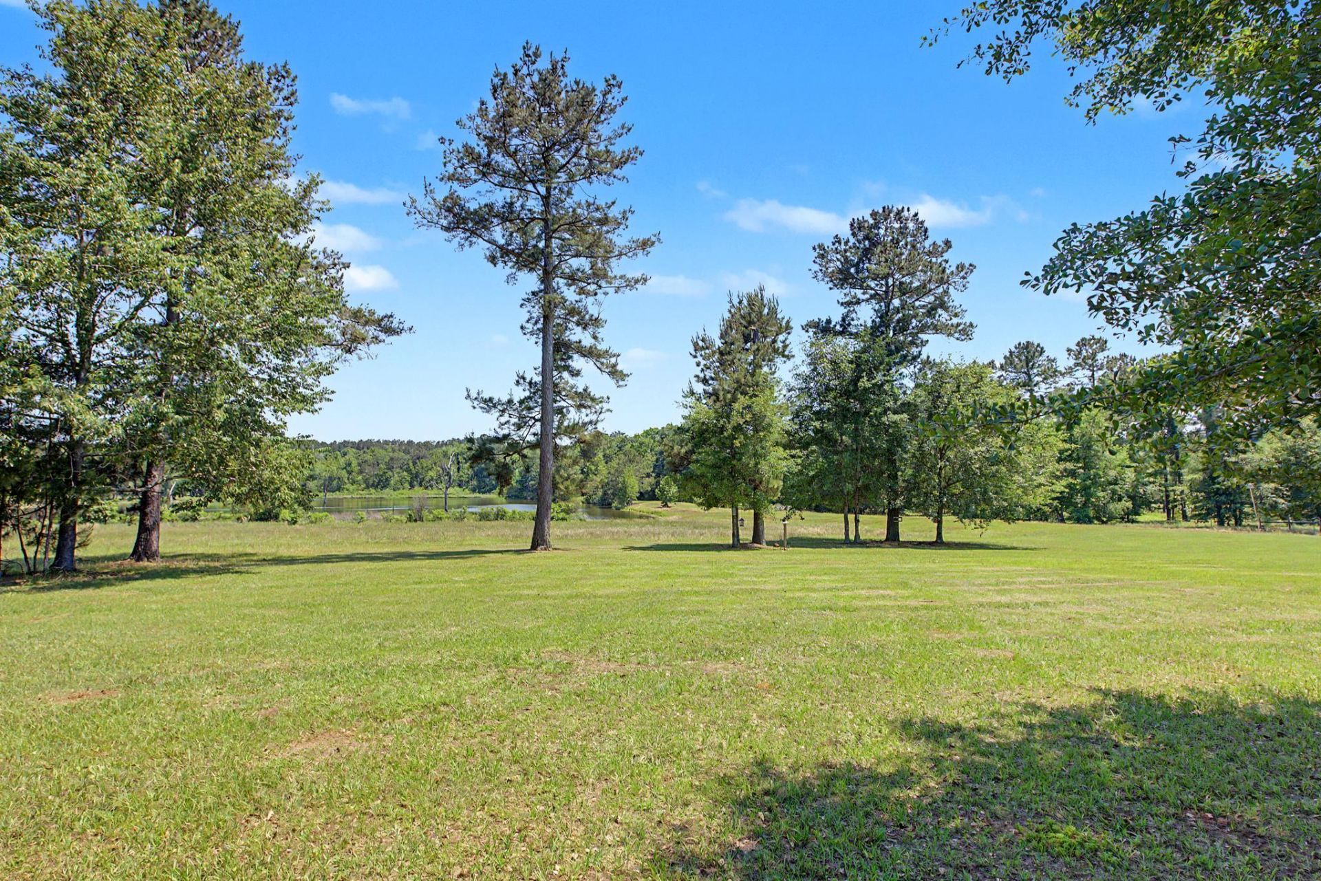 1806 Dove Field Run, Tallahassee, FL 32317 Photo
