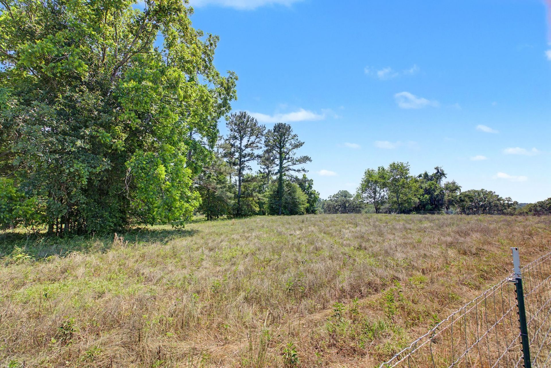 1806 Dove Field Run, Tallahassee, FL 32317 Photo