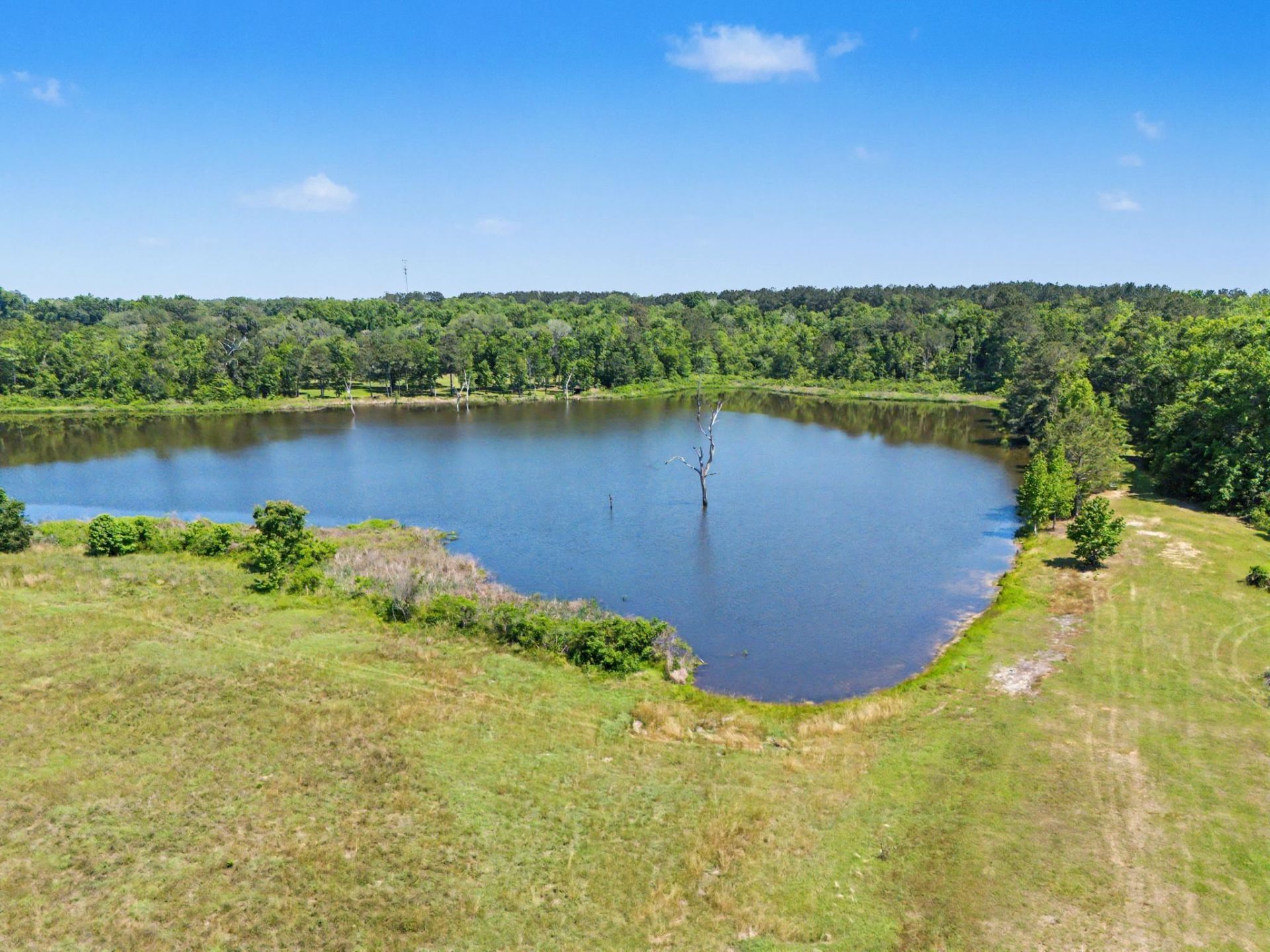 1806 Dove Field Run, Tallahassee, FL 32317 Photo