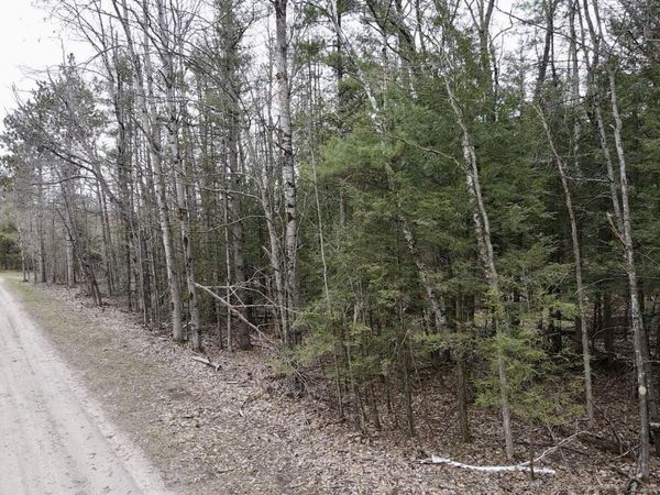 Par 4 Needles Road, Indian River, MI 49749