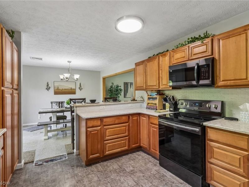 1570 N County Line Road, Madison, OH 44057 Photo 10