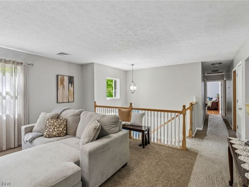 1570 N County Line Road, Madison, OH 44057 Photo 5