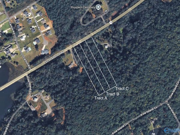 Tract A15 Highway 79, Scottsboro, AL 35769