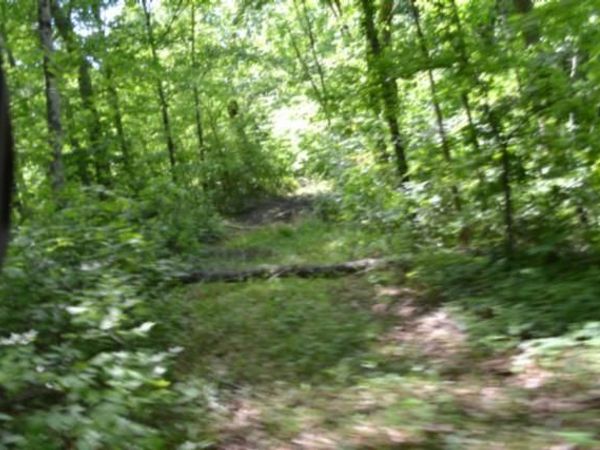 7.50ac Beauchamp Rd, Burkesville, KY 42717