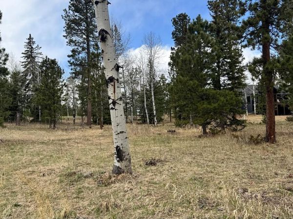 Lot 5 Blk 4 TRAILSIDE ADD, Lead, SD 57754