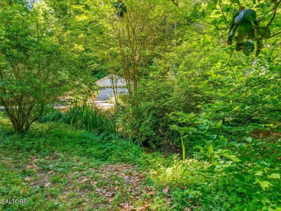 Property Image 58