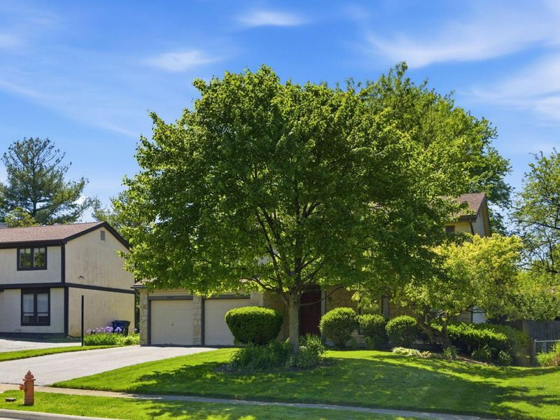 6584 Brock Street , Dublin, OH 43017 Photo 3