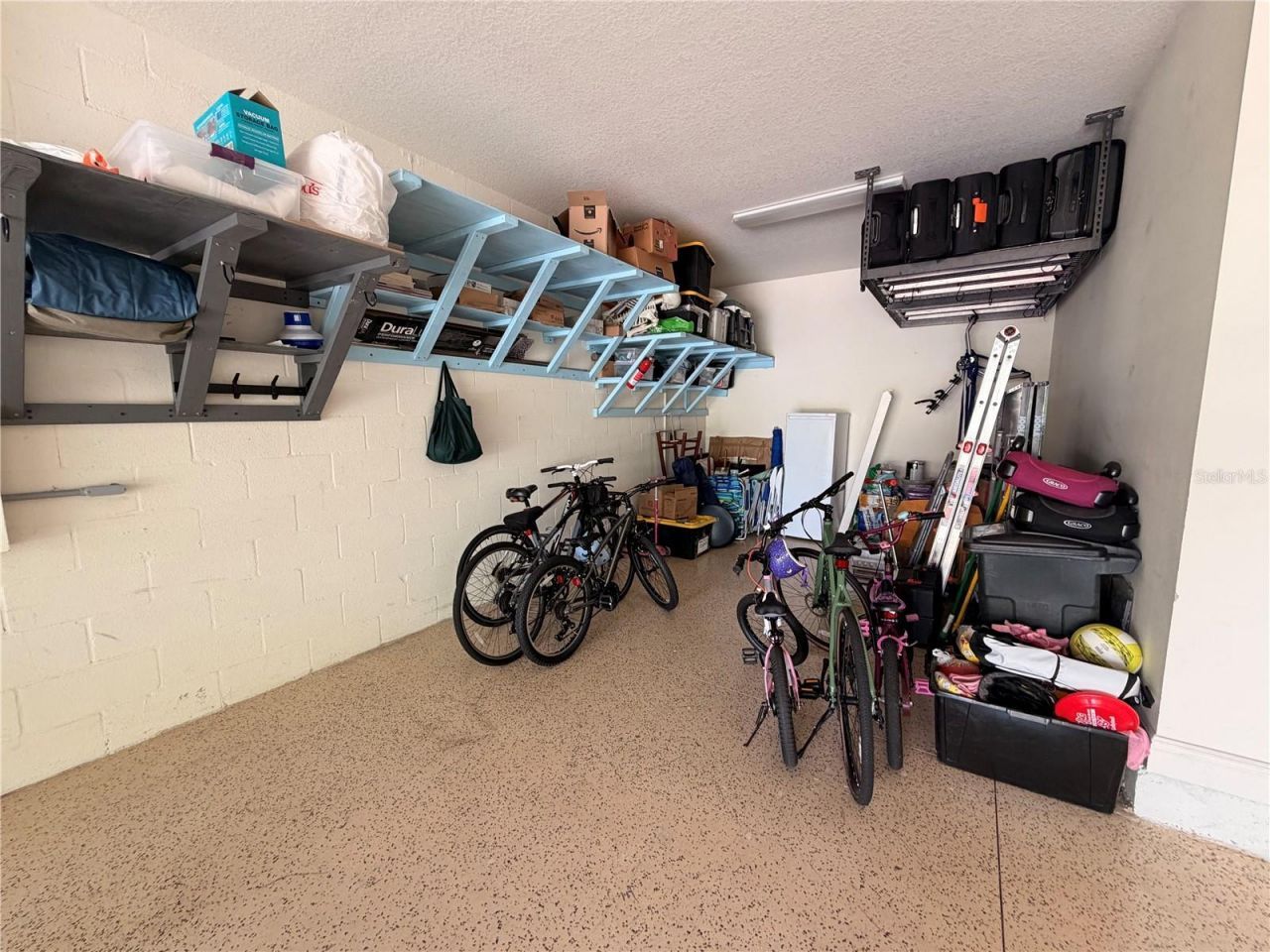 12798 R Munro Lane, Odessa, FL 33556 Photo