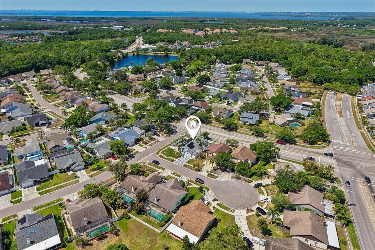 12002 W Pond Way , Tampa, FL 33635 Photo