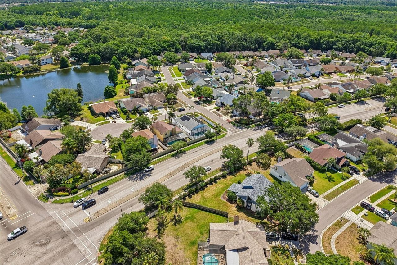 12002 W Pond Way , Tampa, FL 33635 Photo