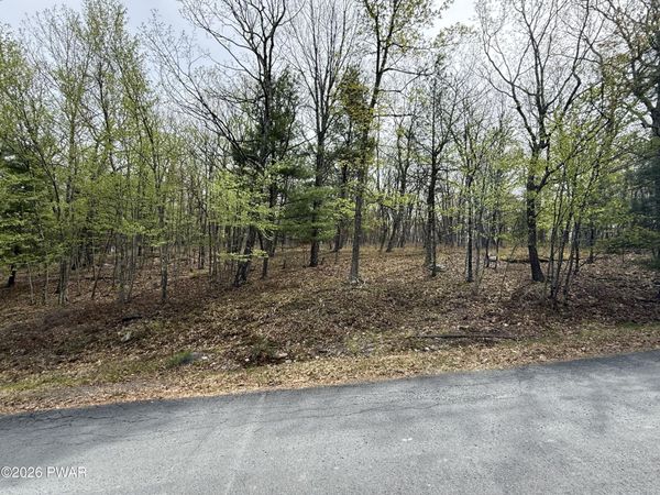 Lot 35 Ponderosa Pine Road, Hawley, PA 18428