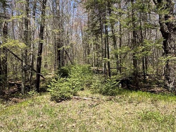 VASCHEAU ROAD, Merrill, WI 54452