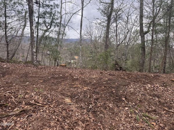 2821 Cedar Falls Way, Sevierville, TN 37862