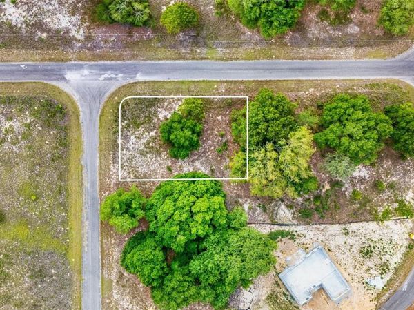 GUAVA TERRACE , OCKLAWAHA, FL 32179