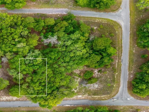MAGNOLIA DRIVE , OCKLAWAHA, FL 32179