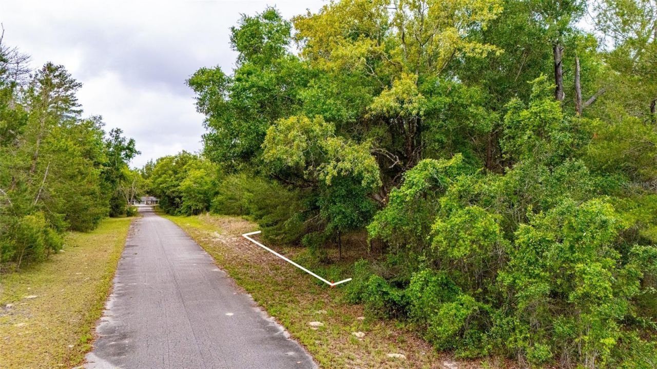 Magnolia Drive, Ocklawaha, FL 32179 Photo
