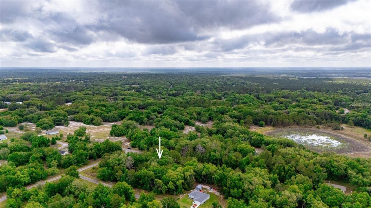 Magnolia Drive, Ocklawaha, FL 32179 Photo