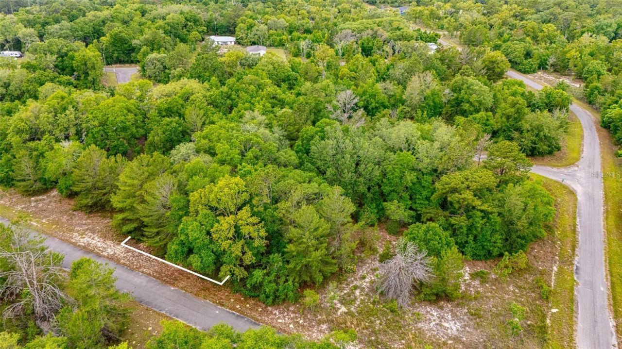 Magnolia Drive, Ocklawaha, FL 32179 Photo