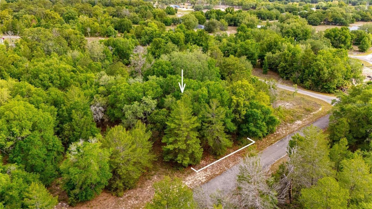 Magnolia Drive, Ocklawaha, FL 32179 Photo