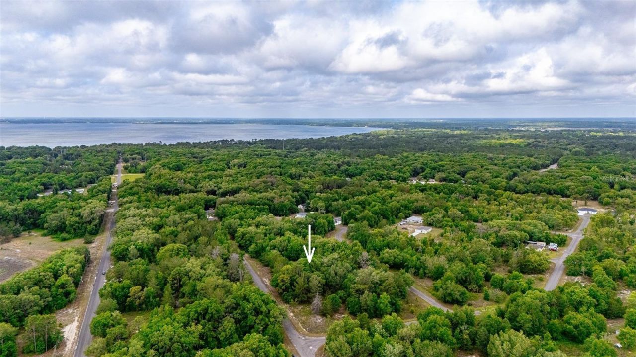 Magnolia Drive, Ocklawaha, FL 32179 Photo