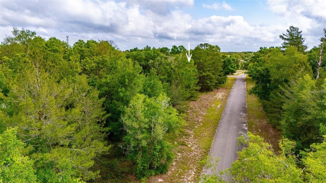 Magnolia Drive, Ocklawaha, FL 32179 Photo